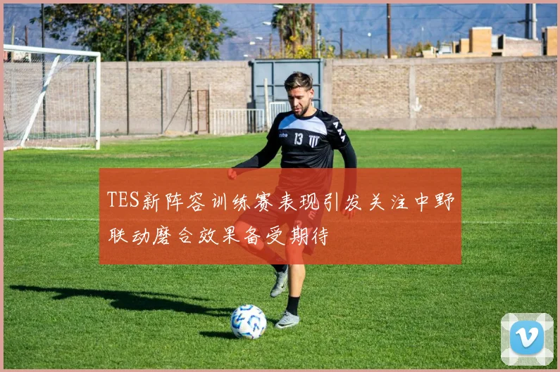 TES新阵容训练赛表现引发关注中野联动磨合效果备受期待