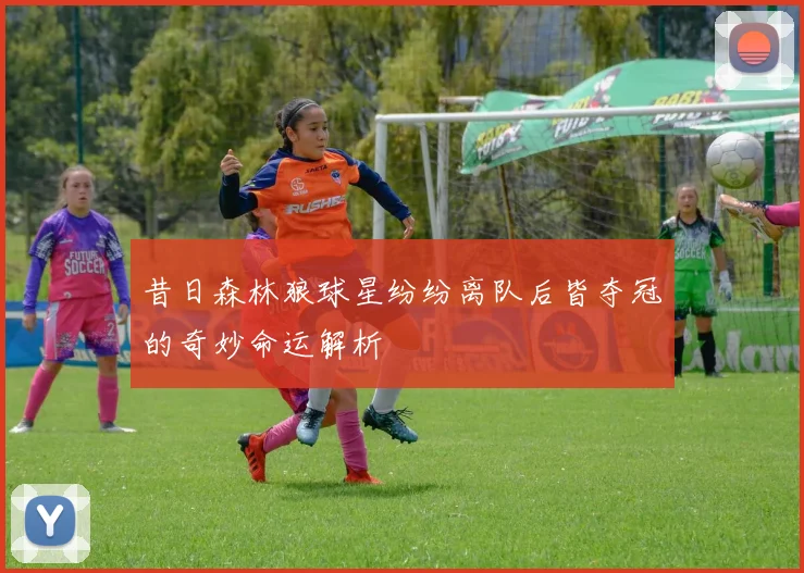 昔日森林狼球星纷纷离队后皆夺冠的奇妙命运解析